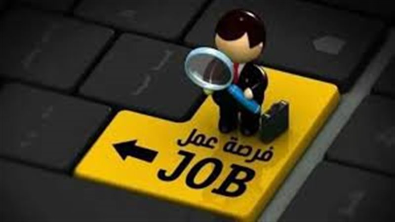 وزارة العمل تعلن عن وفرص عمل جديدة للشباب براتب يصل إلى 25 ألف جنيه